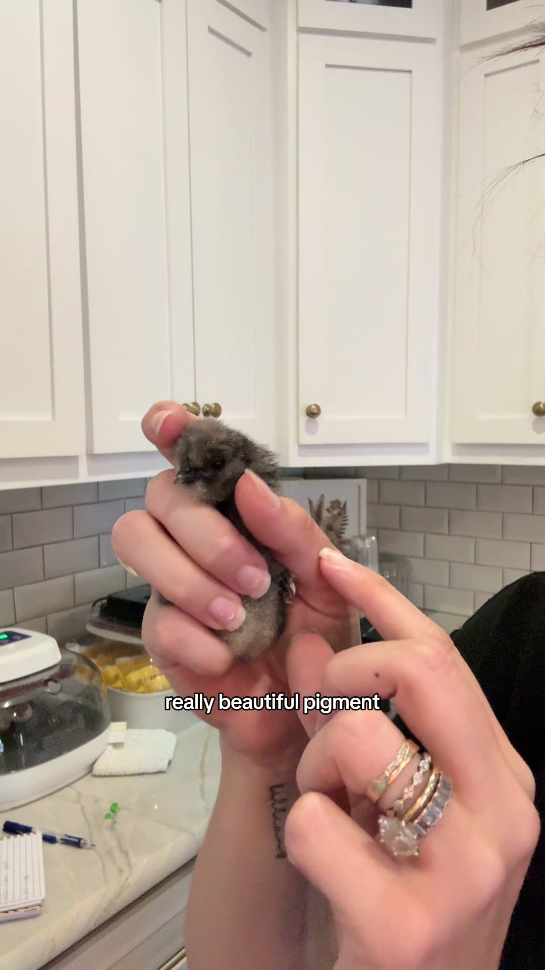 @Alivia ✨🖤🐦⬛