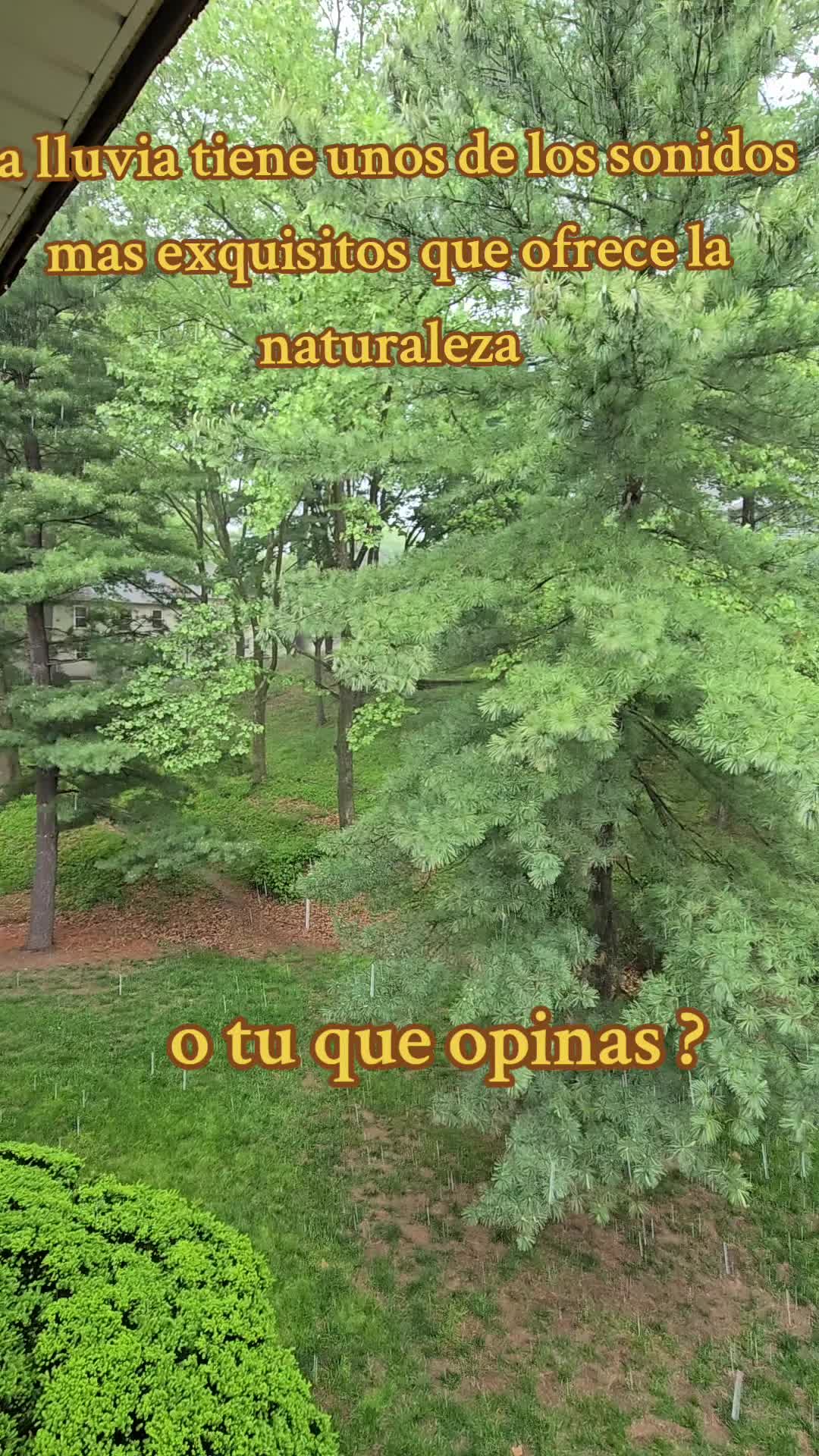 @♡▪︎N0HeM!░▩◎◌◎