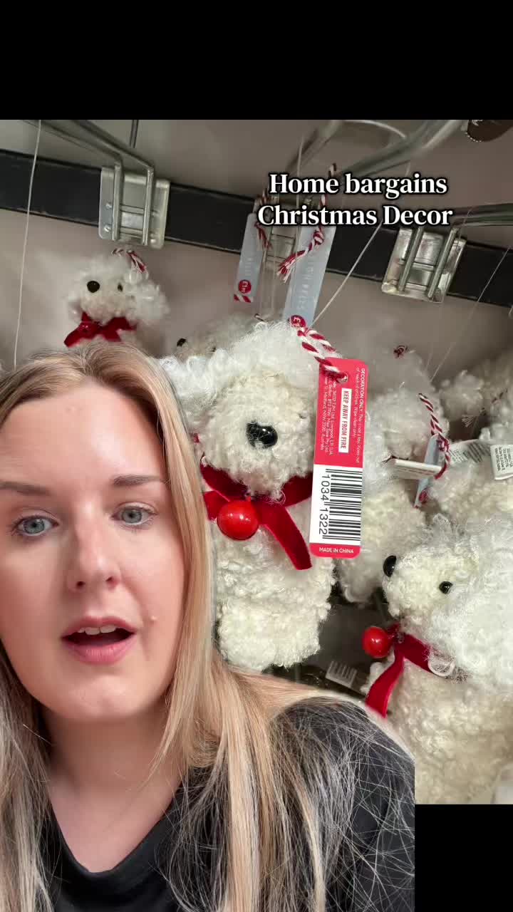@AshleighLovesChristmas
