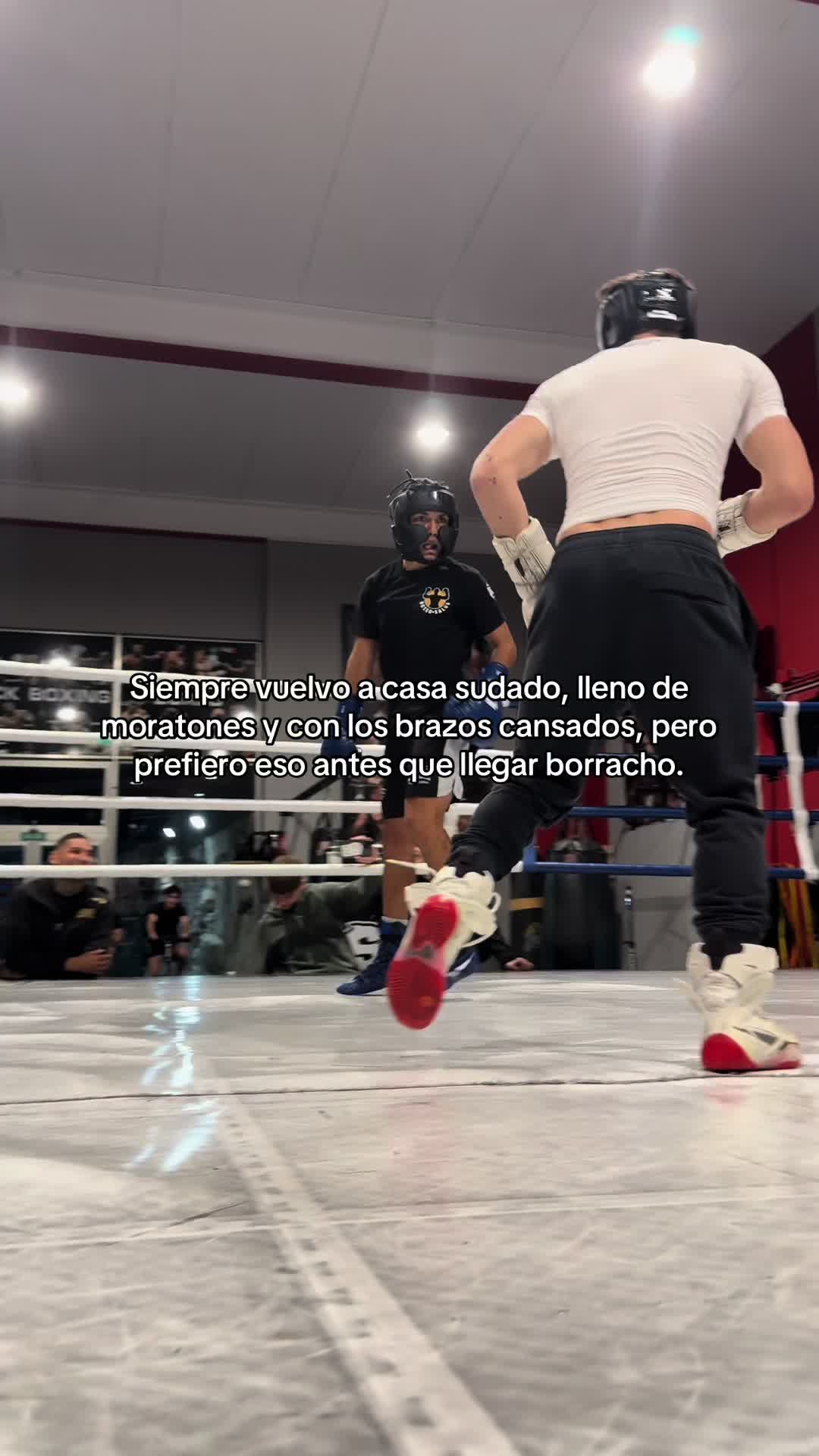 @ssebas.rs