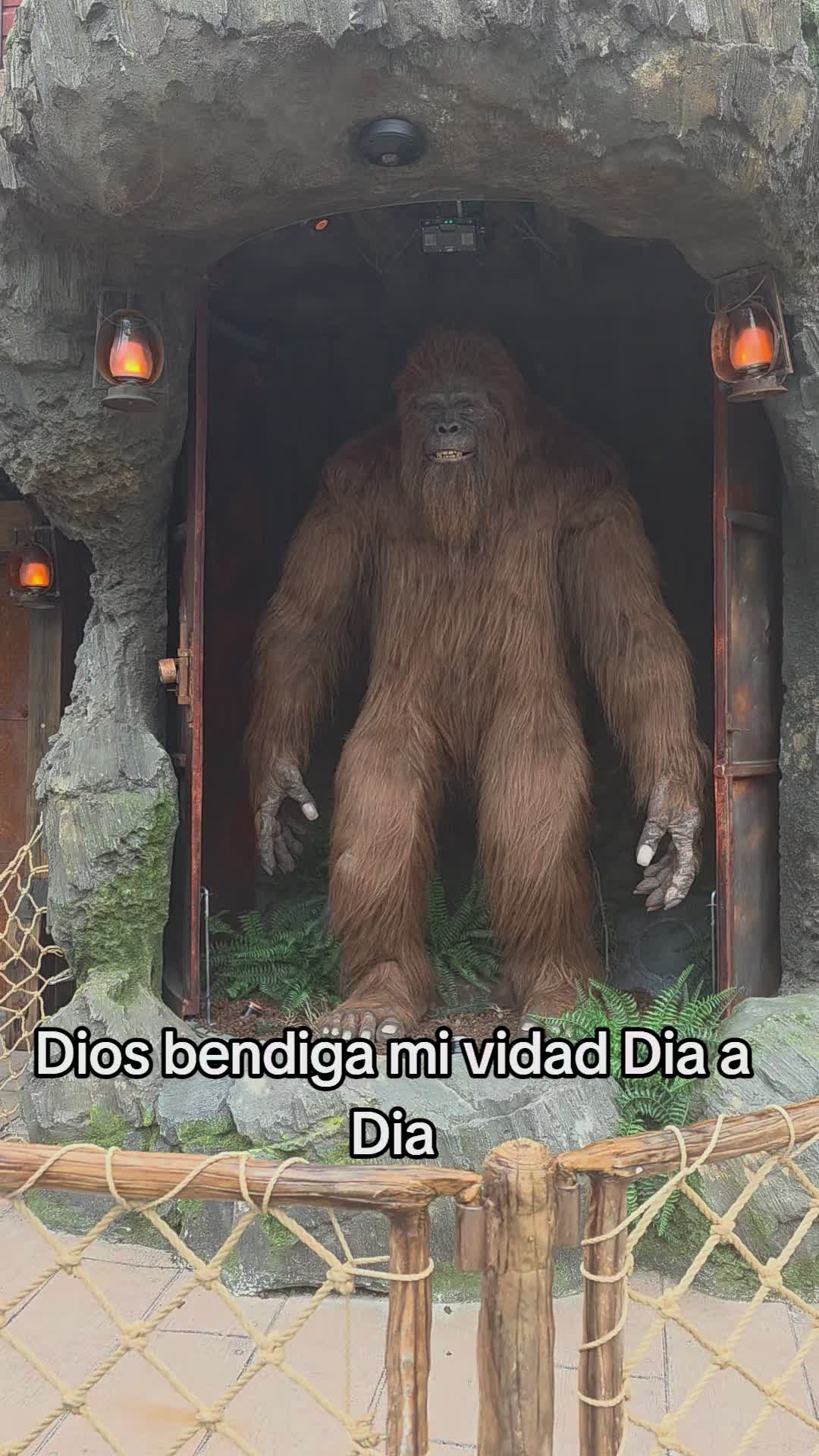 @lagataviral
