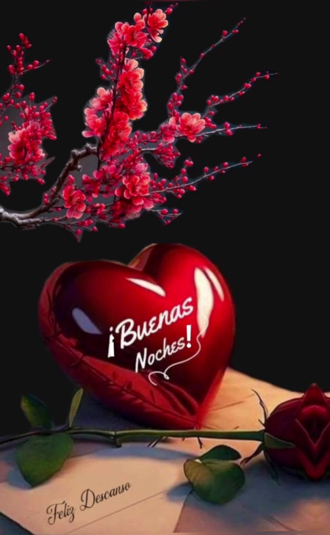 @elvirasvg