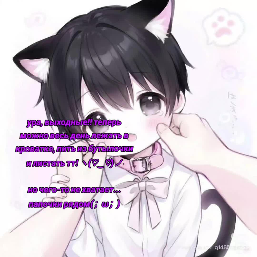 @Setomi