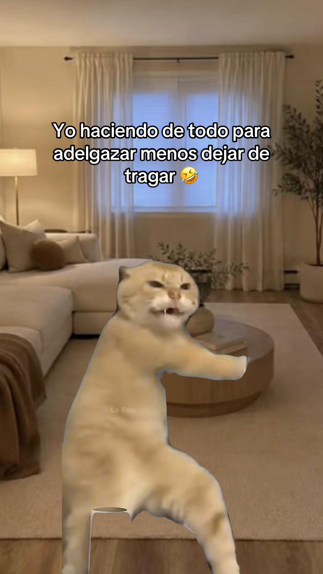 @🌙 𝓐𝓷𝓭𝓻𝓮𝓪 🌙