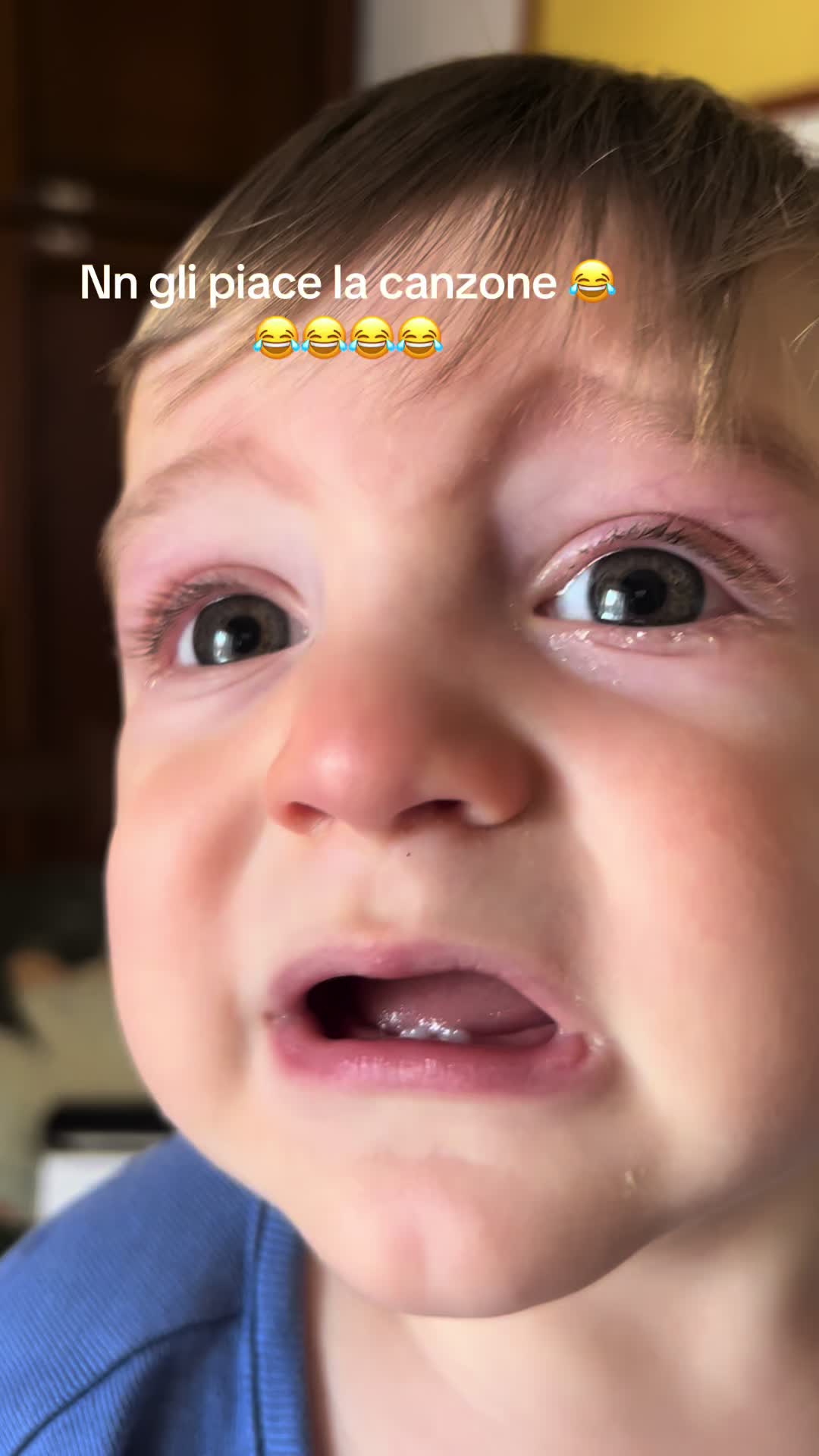 @Cristina Grazioli