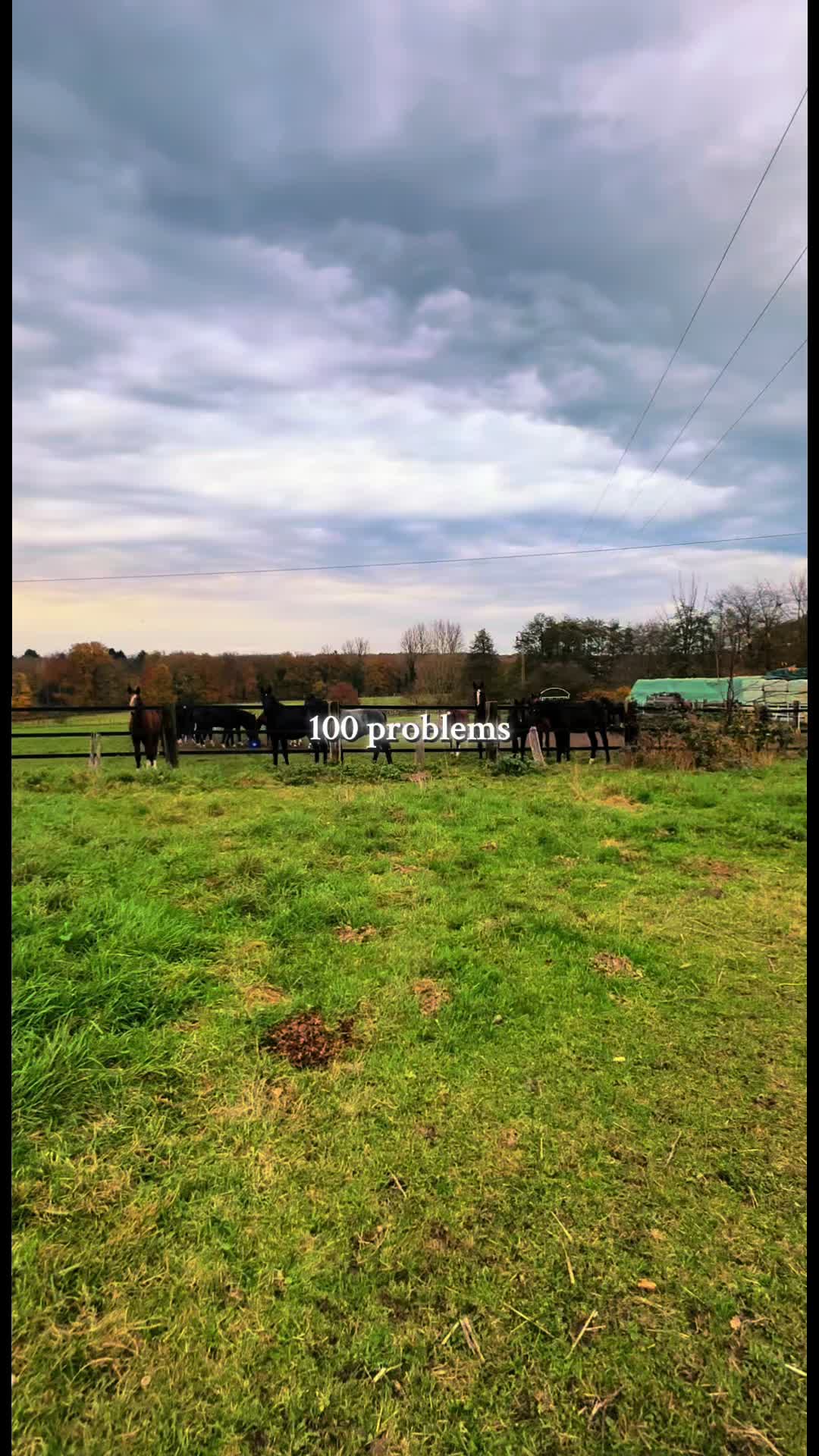 @Maike