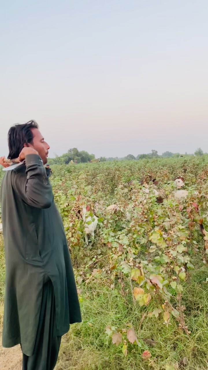 @Ashraf-khaN