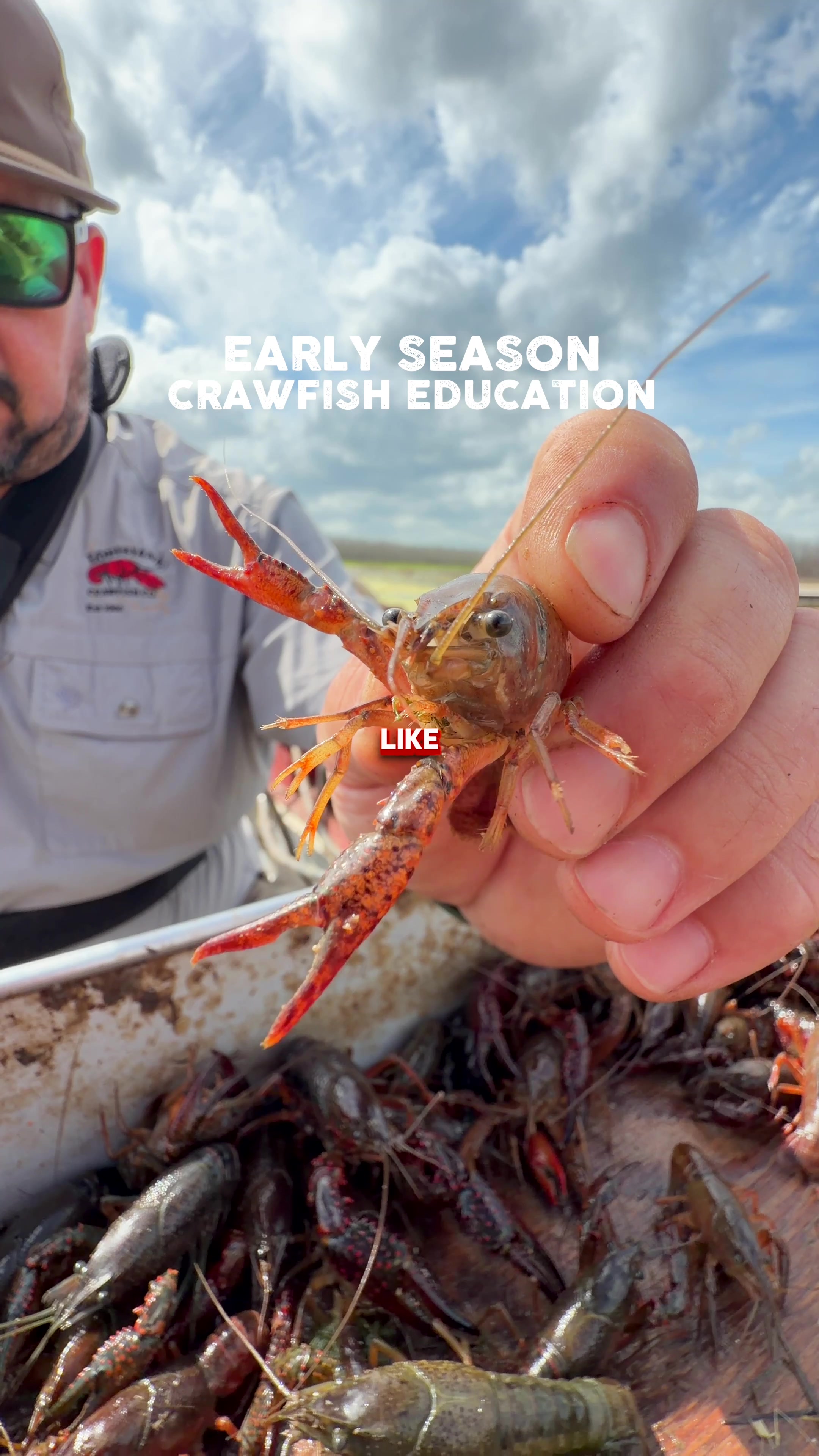@louisianacrawfishco