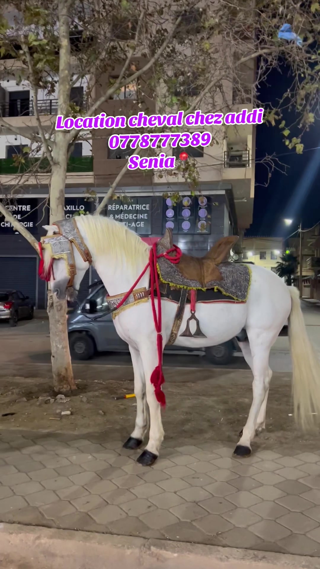 @location👑addi
