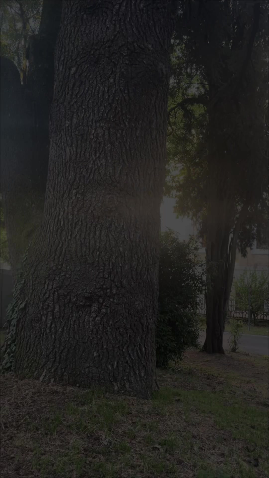 @ولمن خاف مقام ربه جنتان٤٦ lail