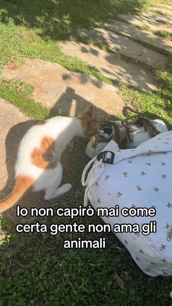 @Anna Maria Muratore