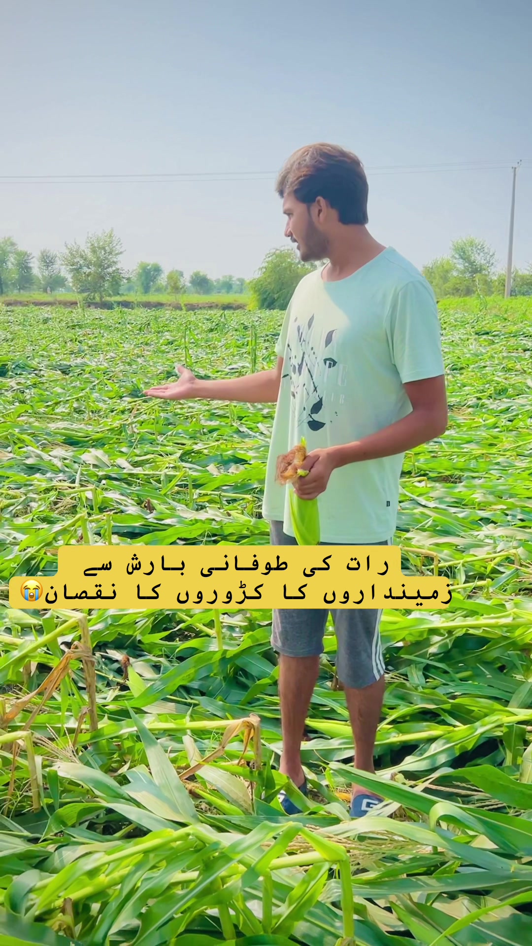 @Salman punjab ala