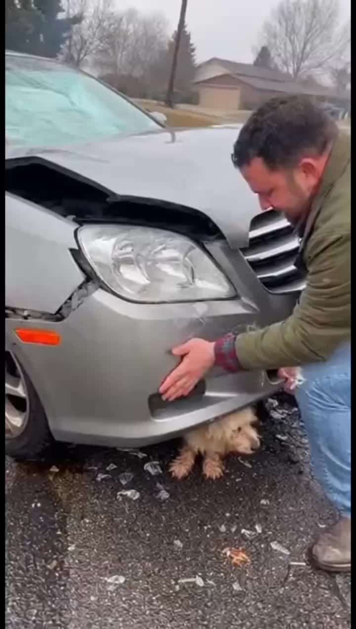 @animalslife2026