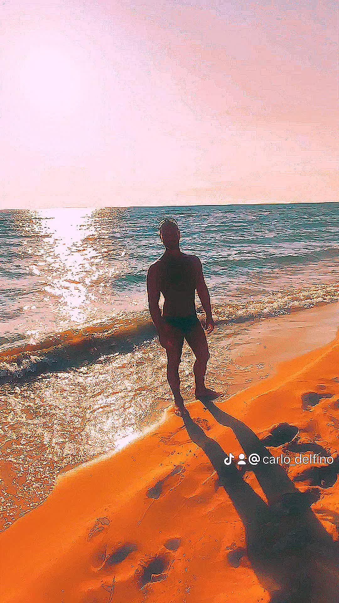 @Carlo Stefano Delfino