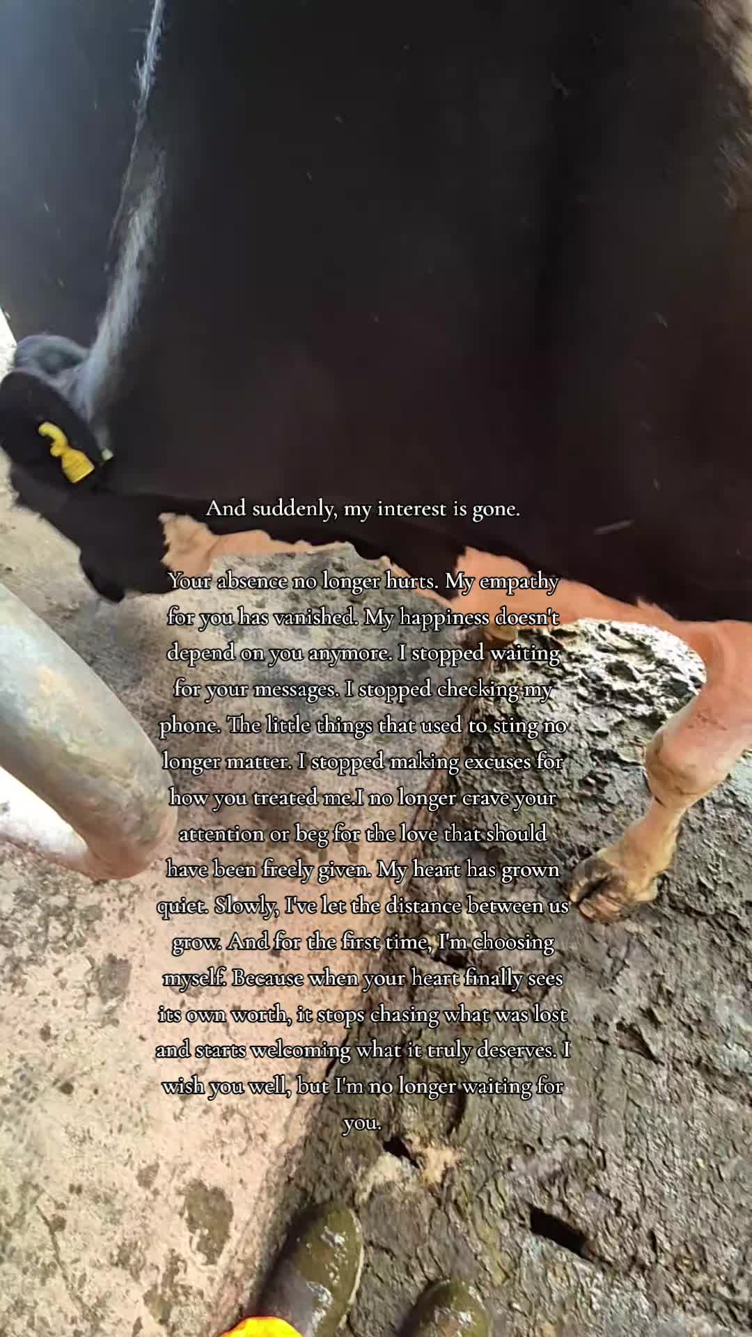 @m.scott 🐄🤠