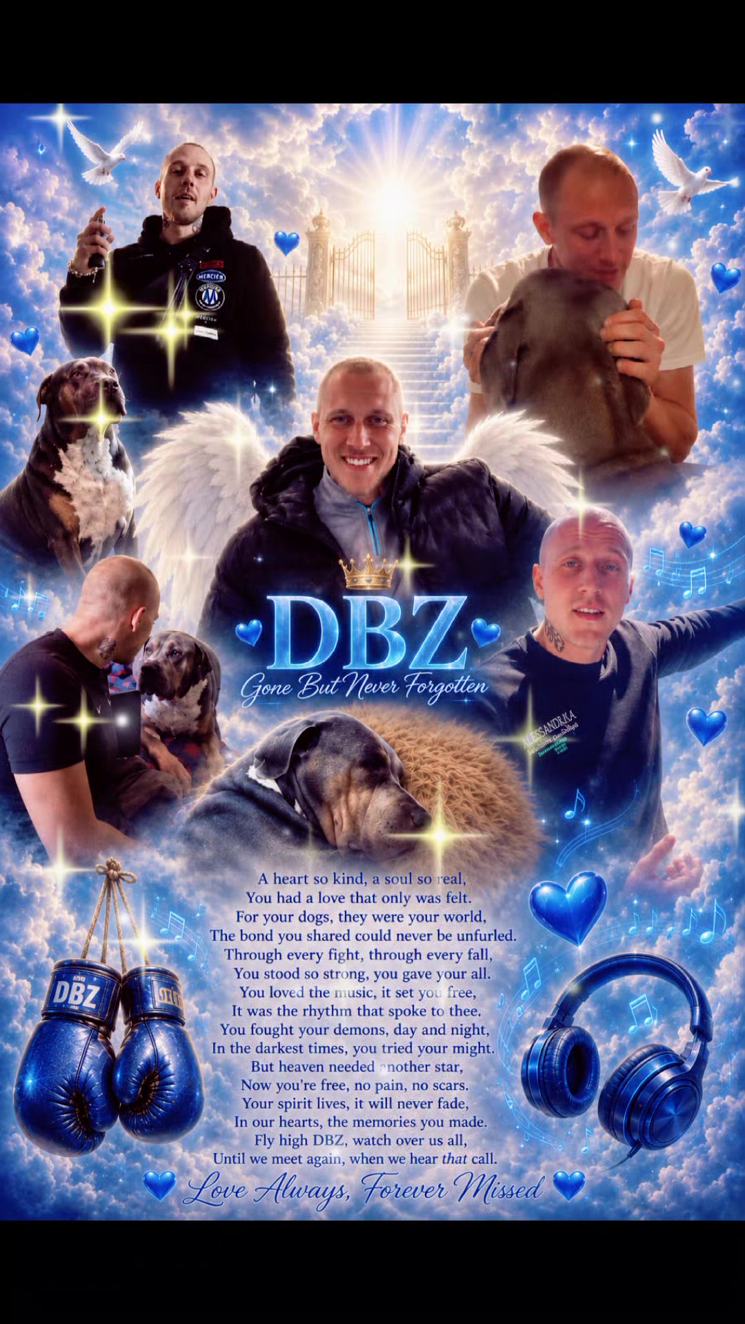 @RainbowBlazer🌈🏳️&zwj;🌈🥊🕊💙DBZ