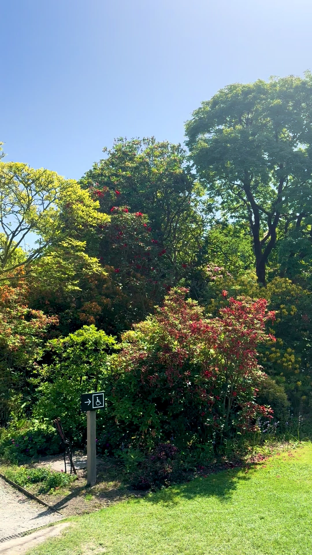 @Amazing nature and city vibes