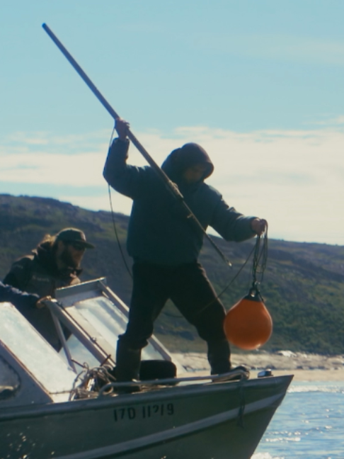 @Fishing TV