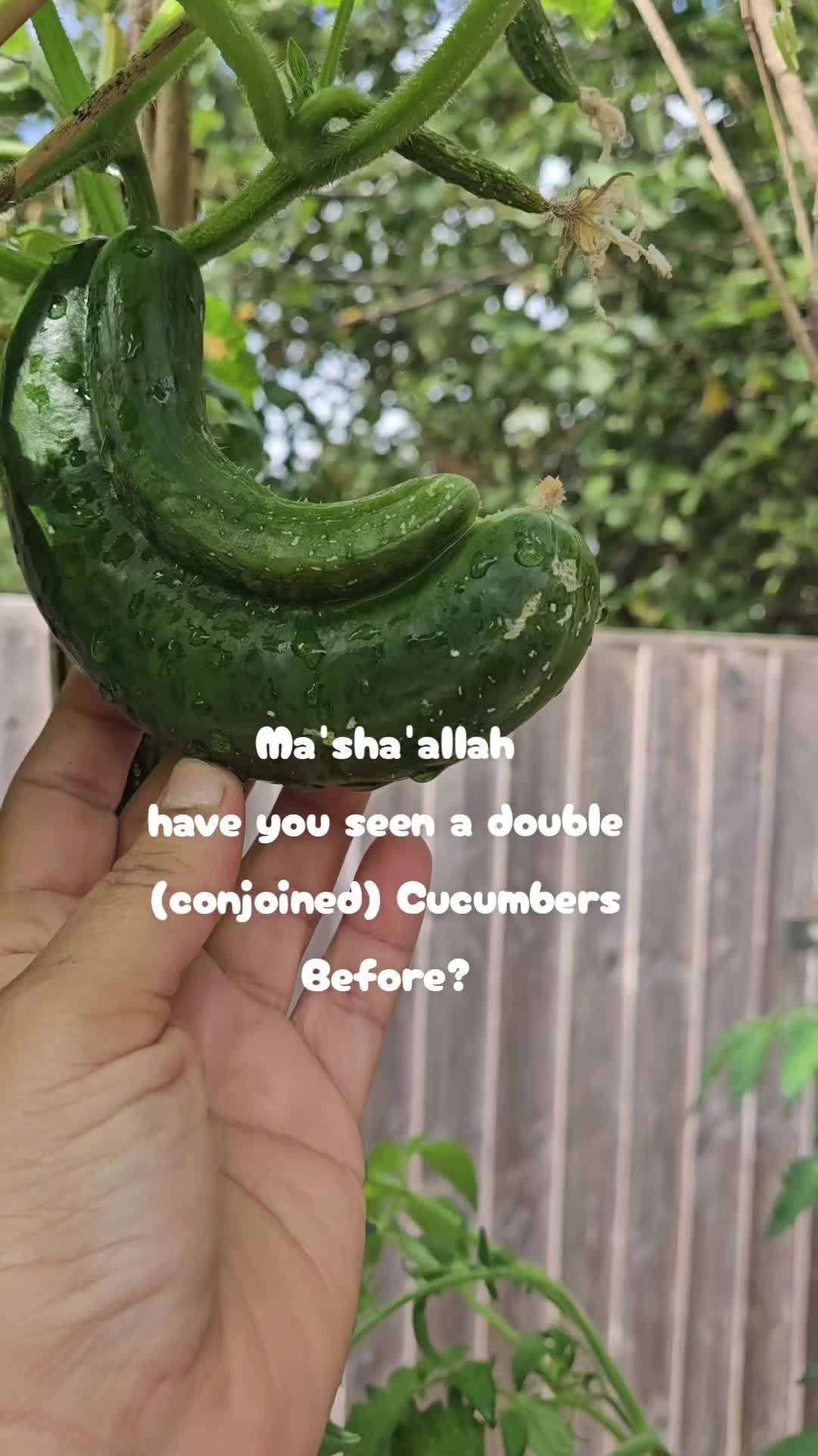 @CookingwiththeKhatuns