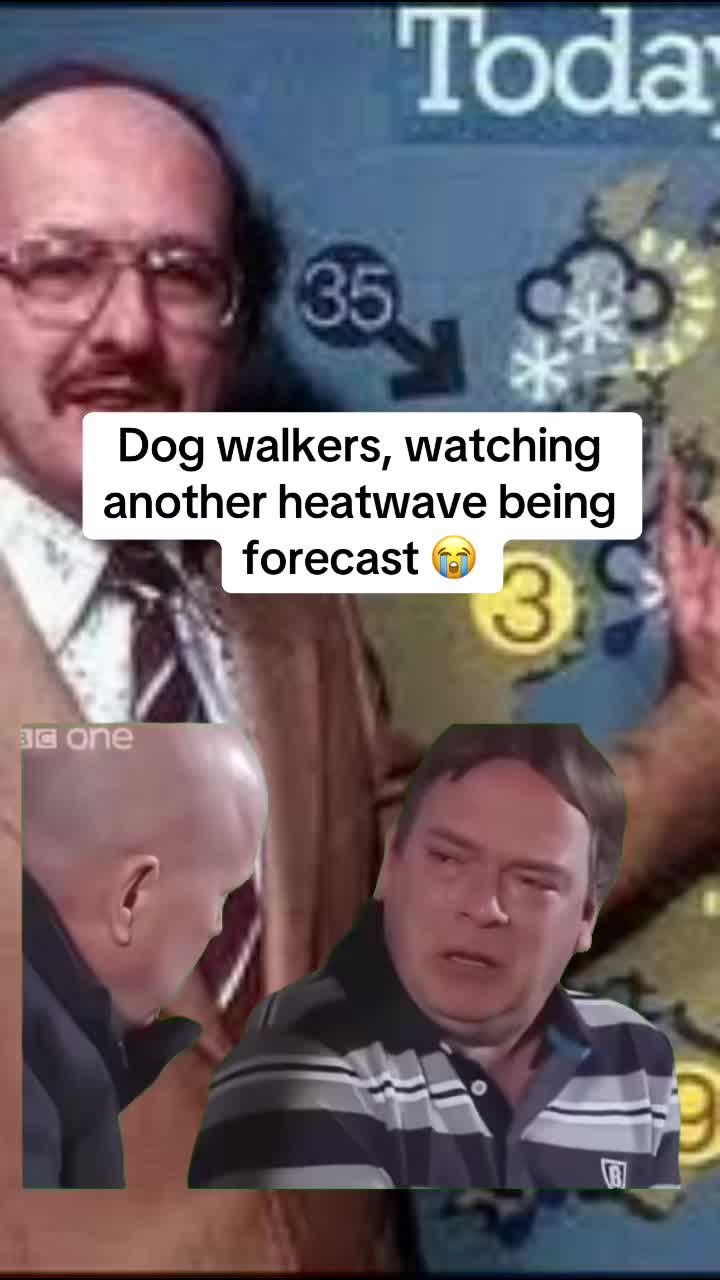 @Jamie of Burnsbys Walkies