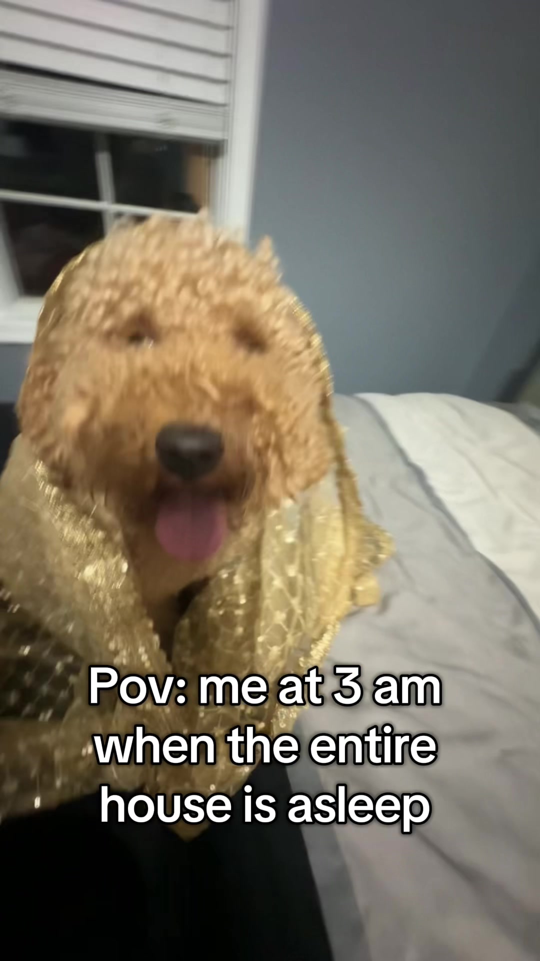 @𝐼𝒮𝐻𝐼𝒦𝒜