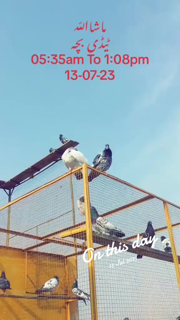 @RanaAdi302