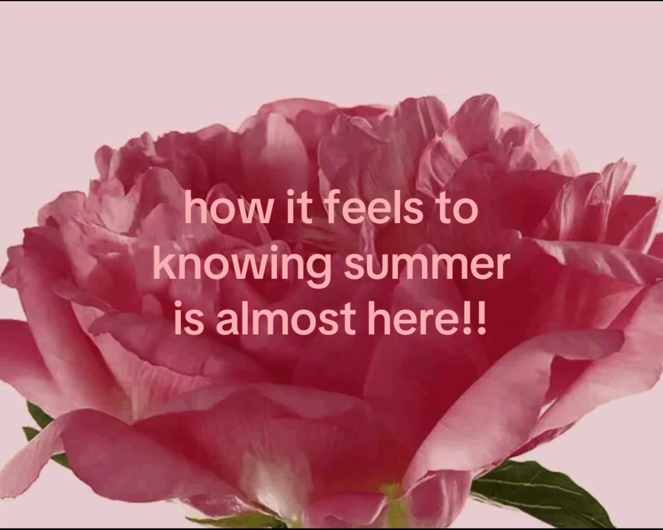 @ꪀ꠸ꪀ꠸ꪻꪖ