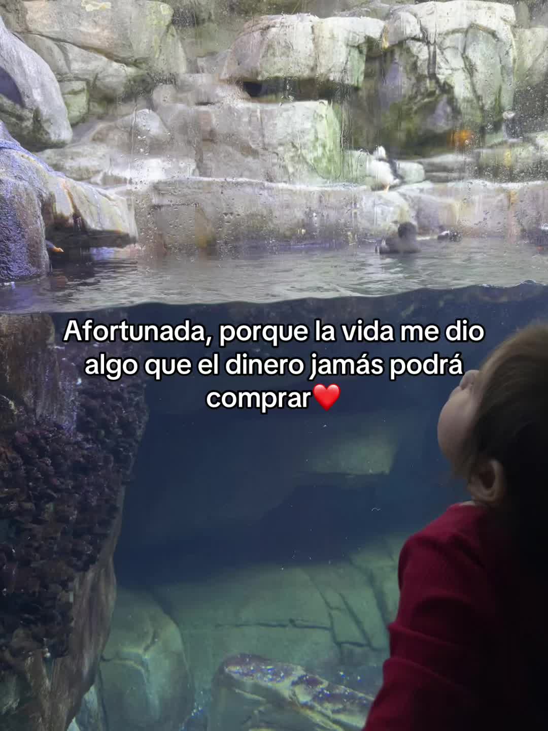 @Judith 🖤
