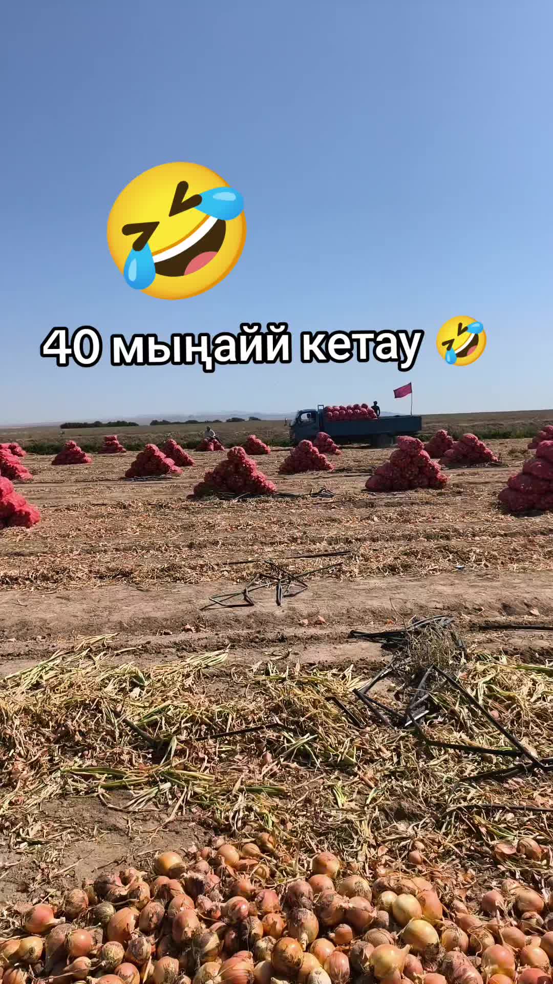 @Балкия