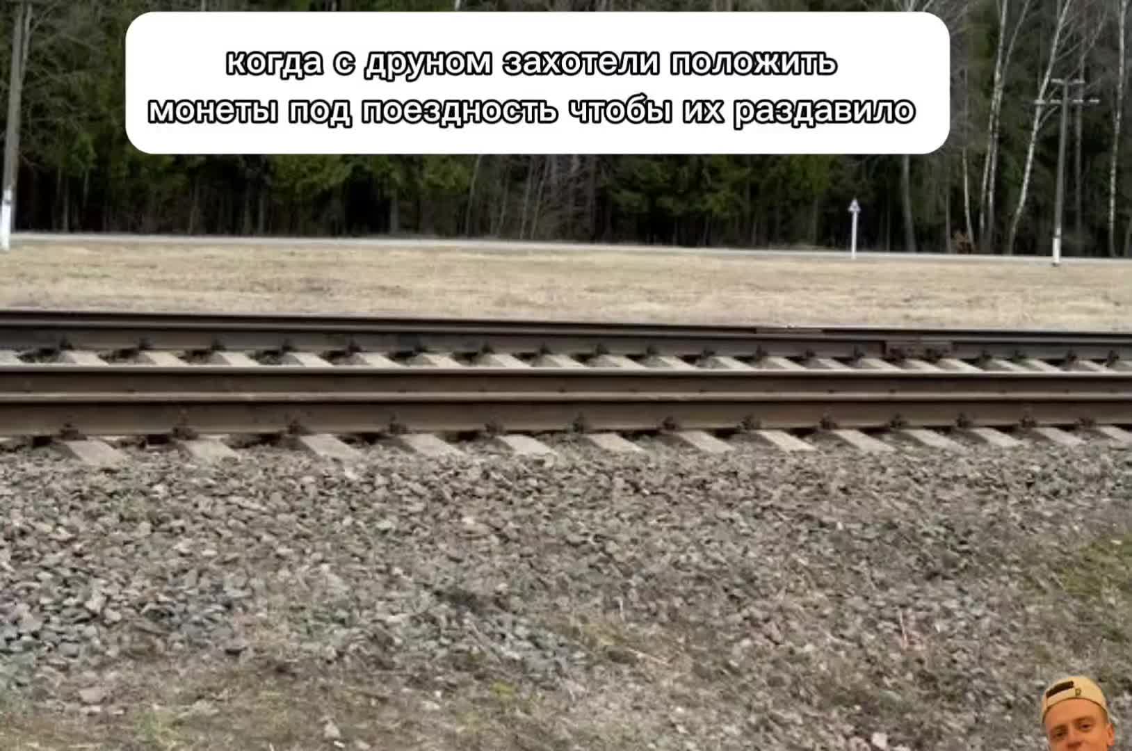@ᴘʟᴜsʜ sᴄʀᴇᴇᴄʜ | ᴏғғɪᴄɪᴀʟ