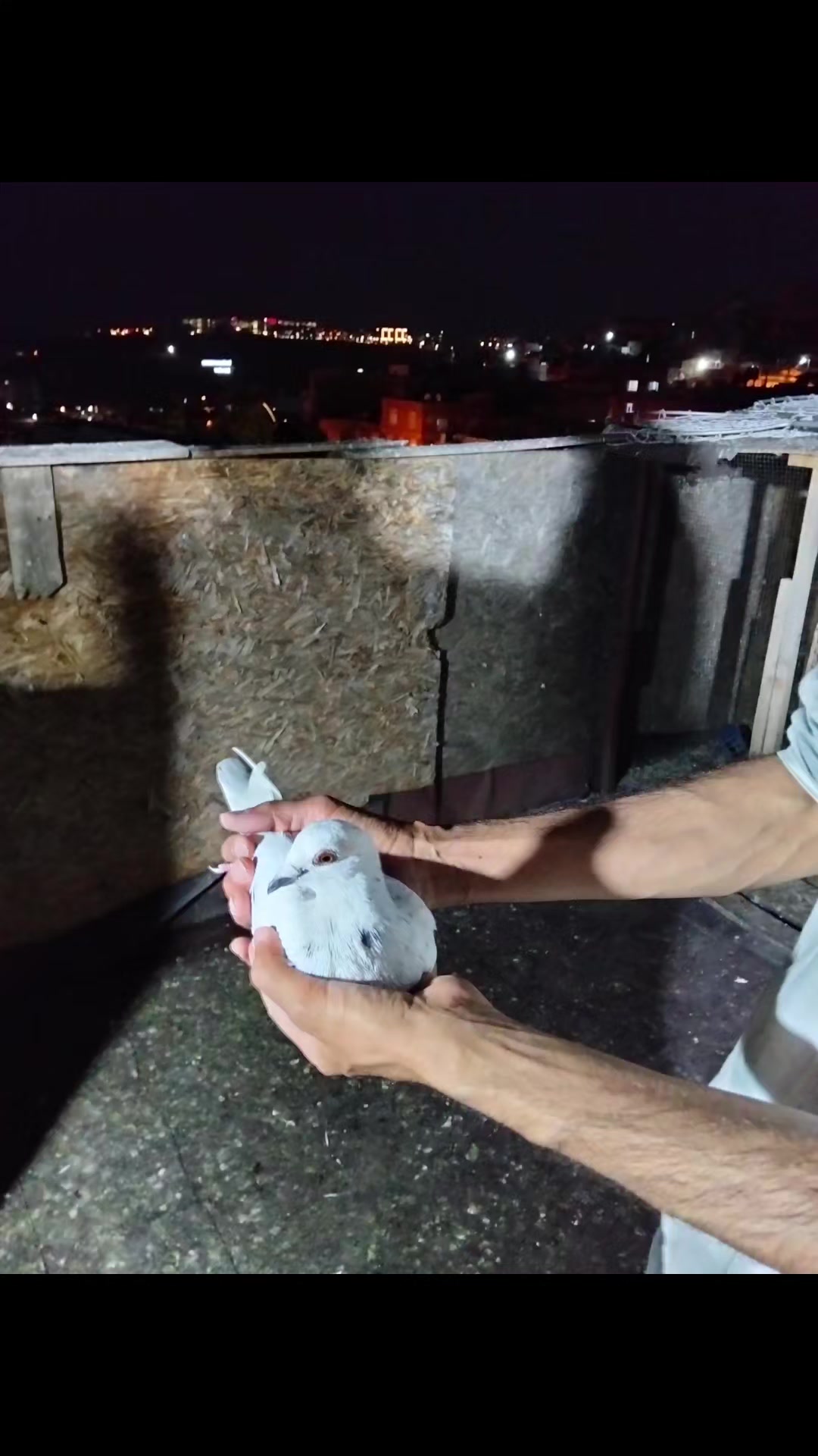 @Ertuğrul&Alparslan(Doktor)