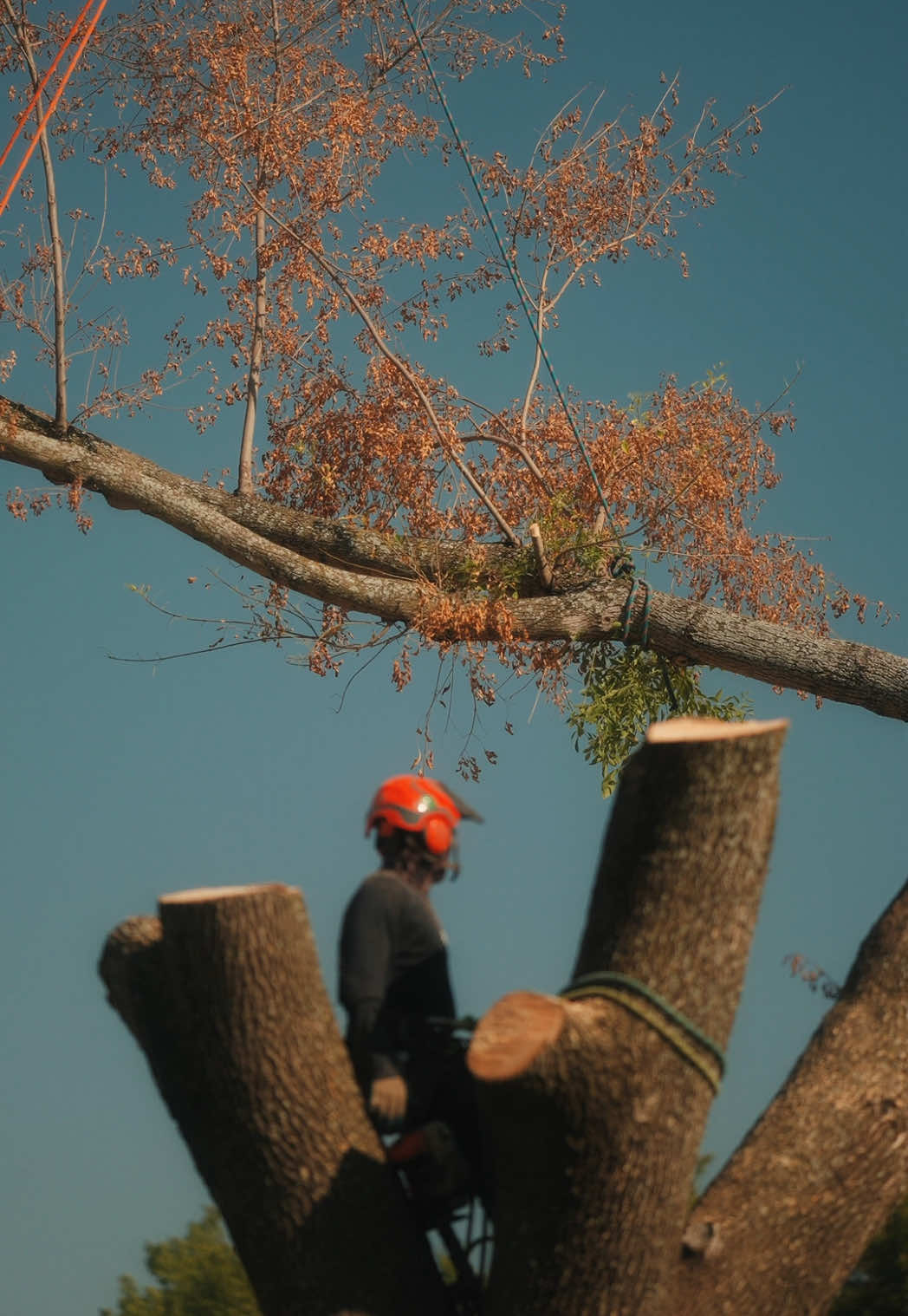 @SPTreeService