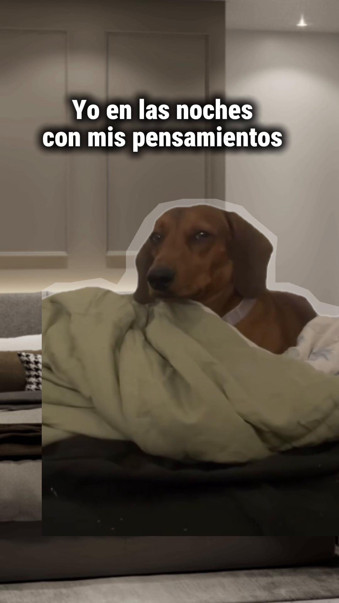 @Nuris Castillo