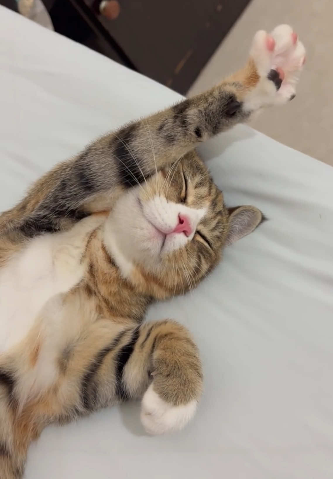 @マイ