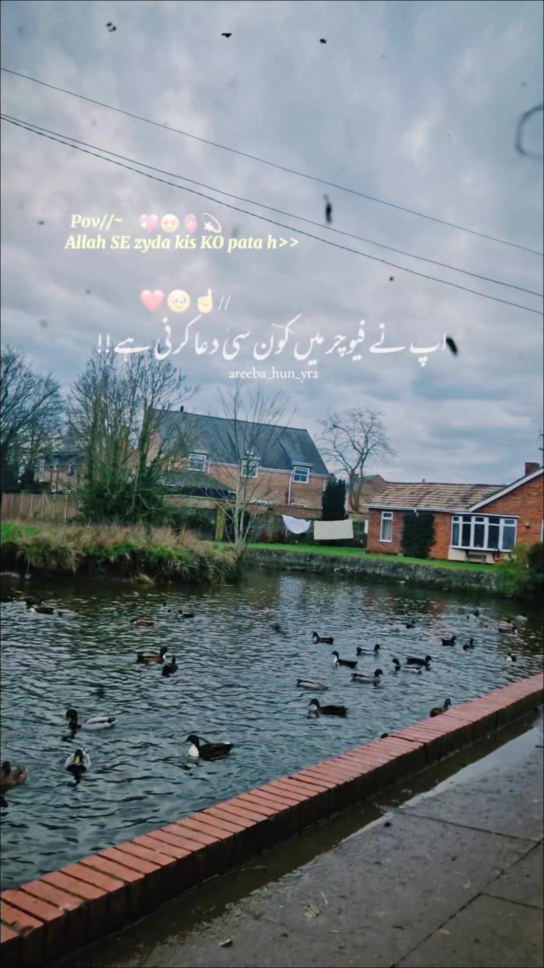 @Rehan Mirza 🇬🇧🇵🇰