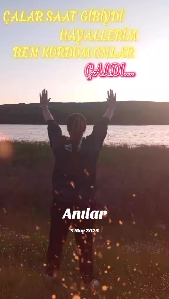 @Aysel Toktay