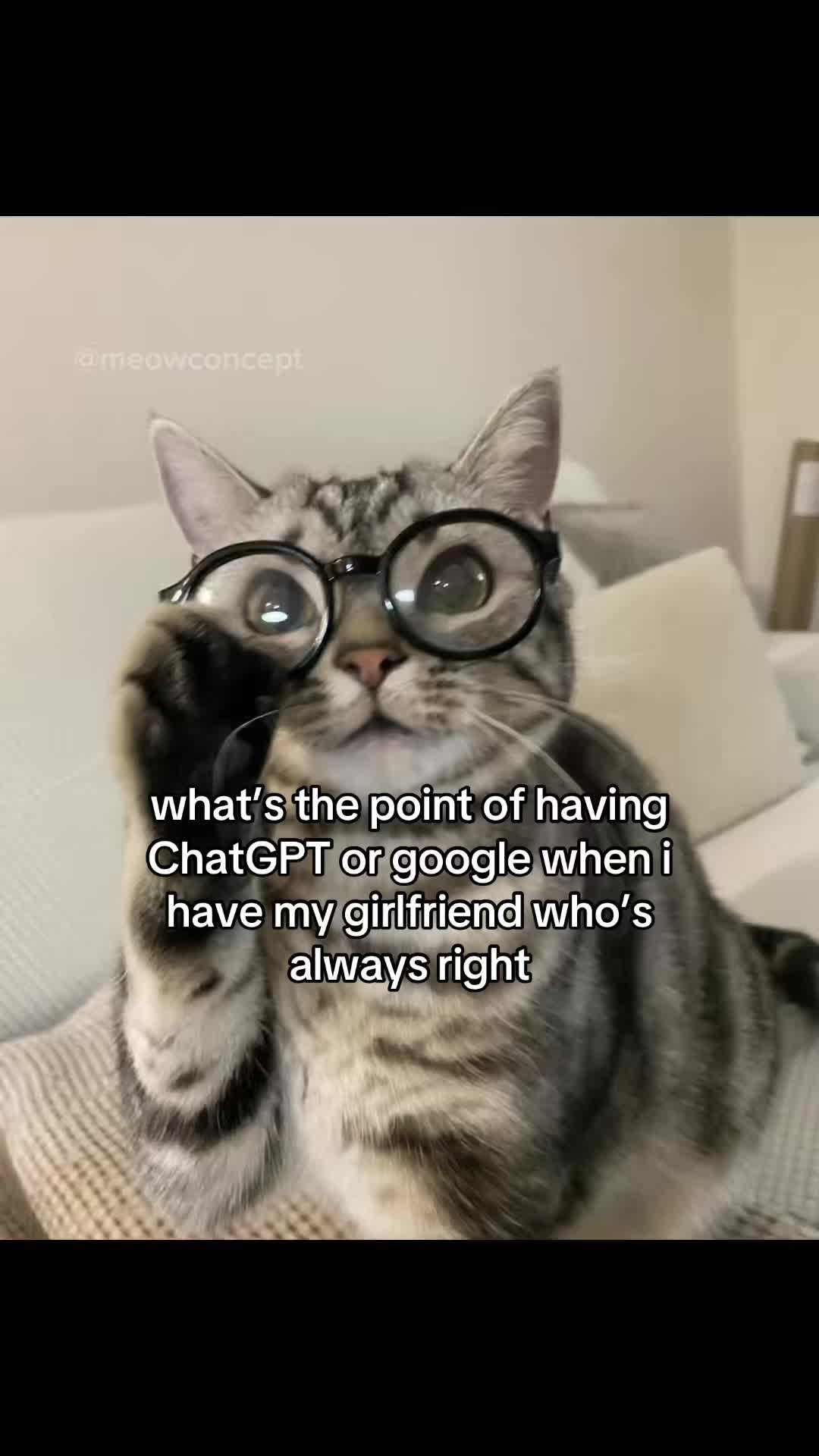 @meowconcept