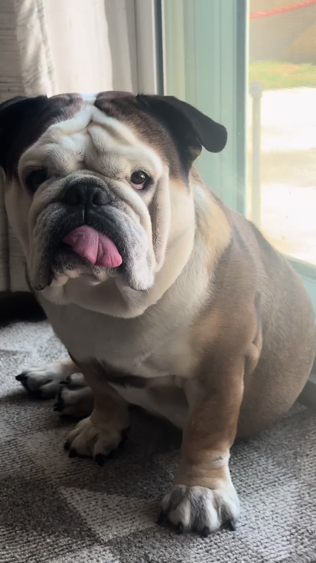 @Taco 🐶🧿