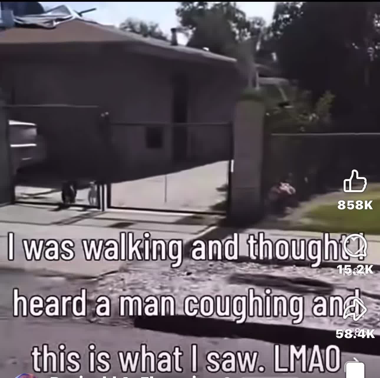 @Mr_lfc_qdqfam