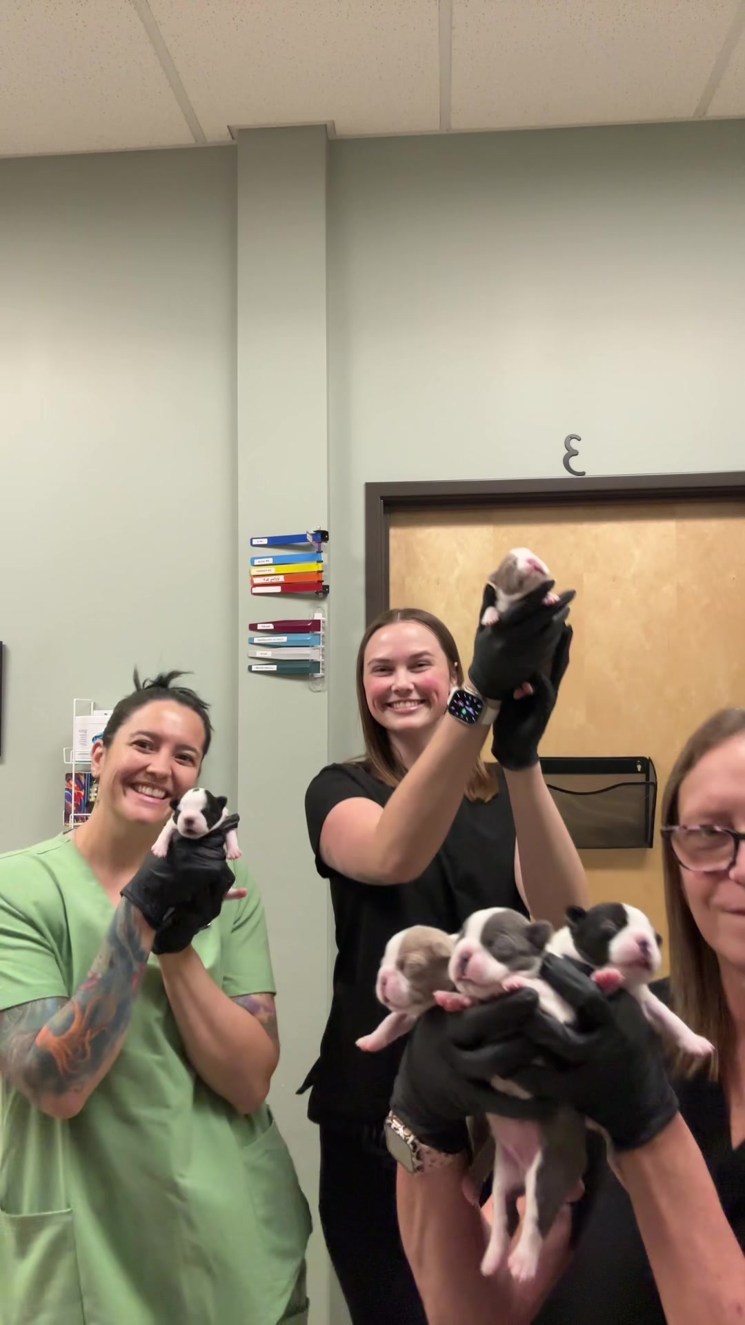 @Dreaming Summit Animal Hosp