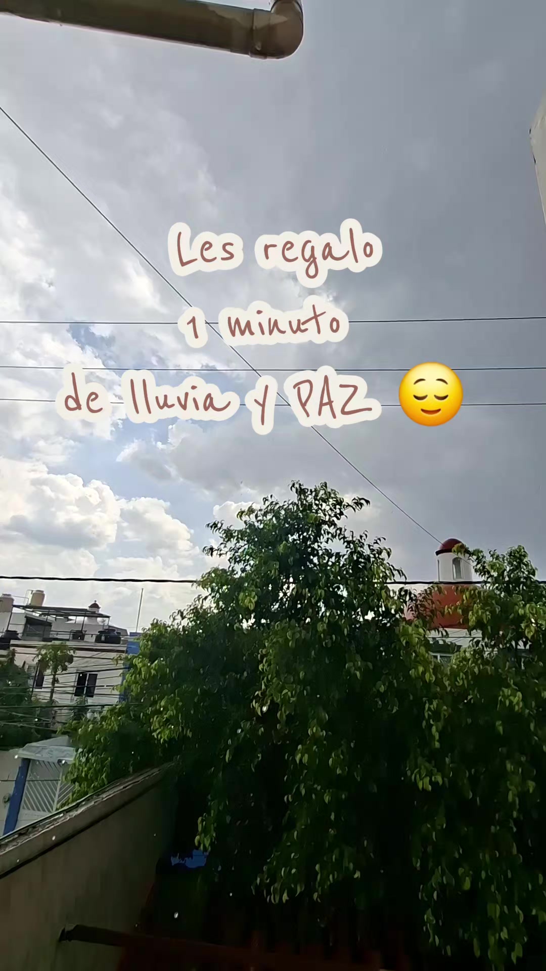 @Lzp xx