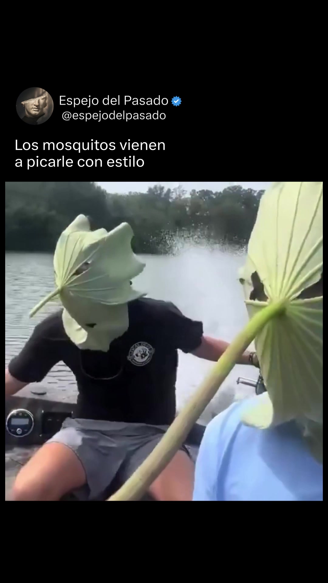 @espejodelpasado