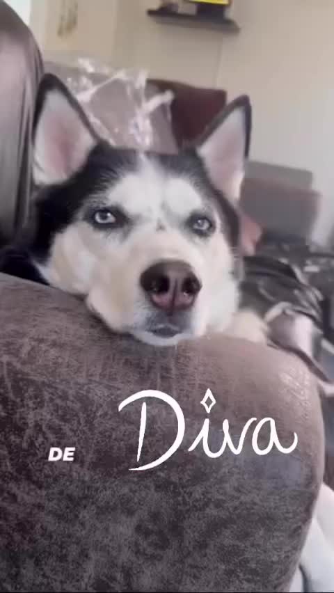 @Mariblueposa🦋