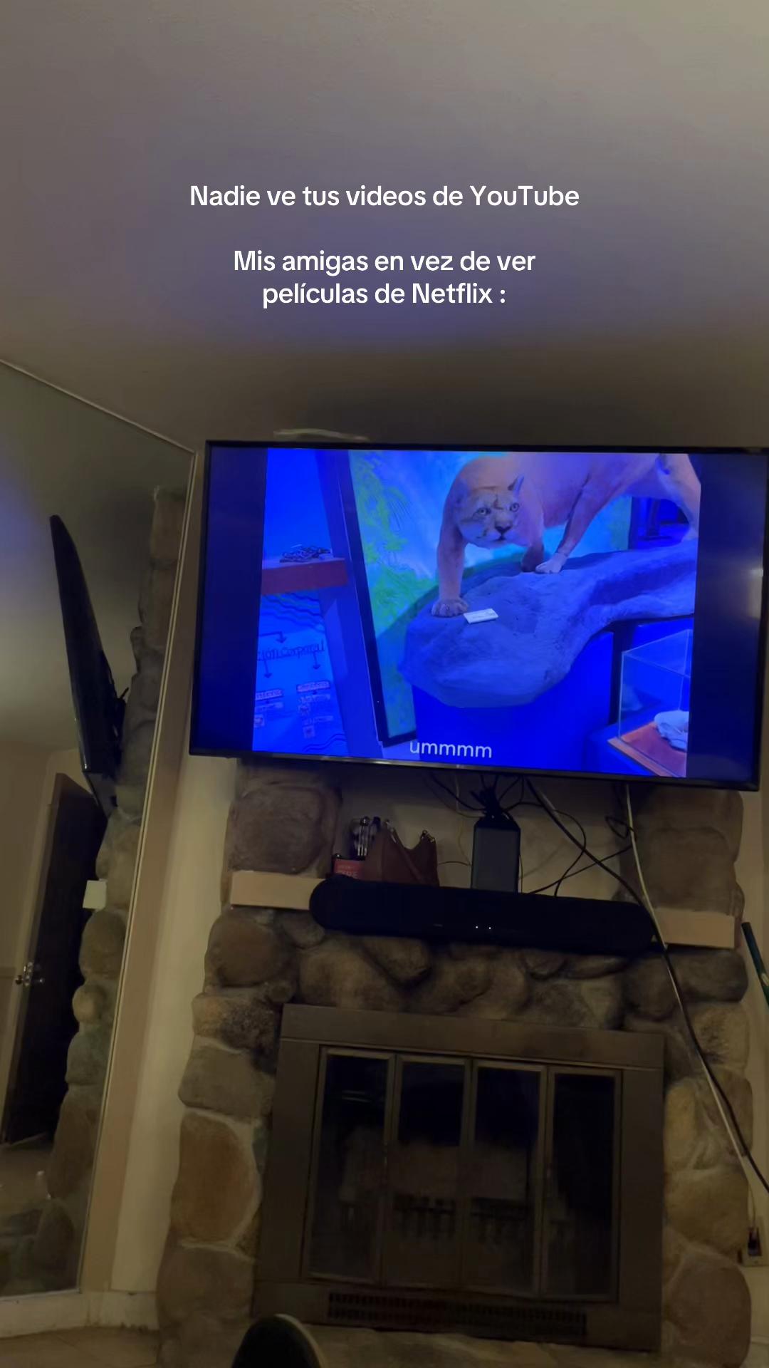 @odalischavezzz