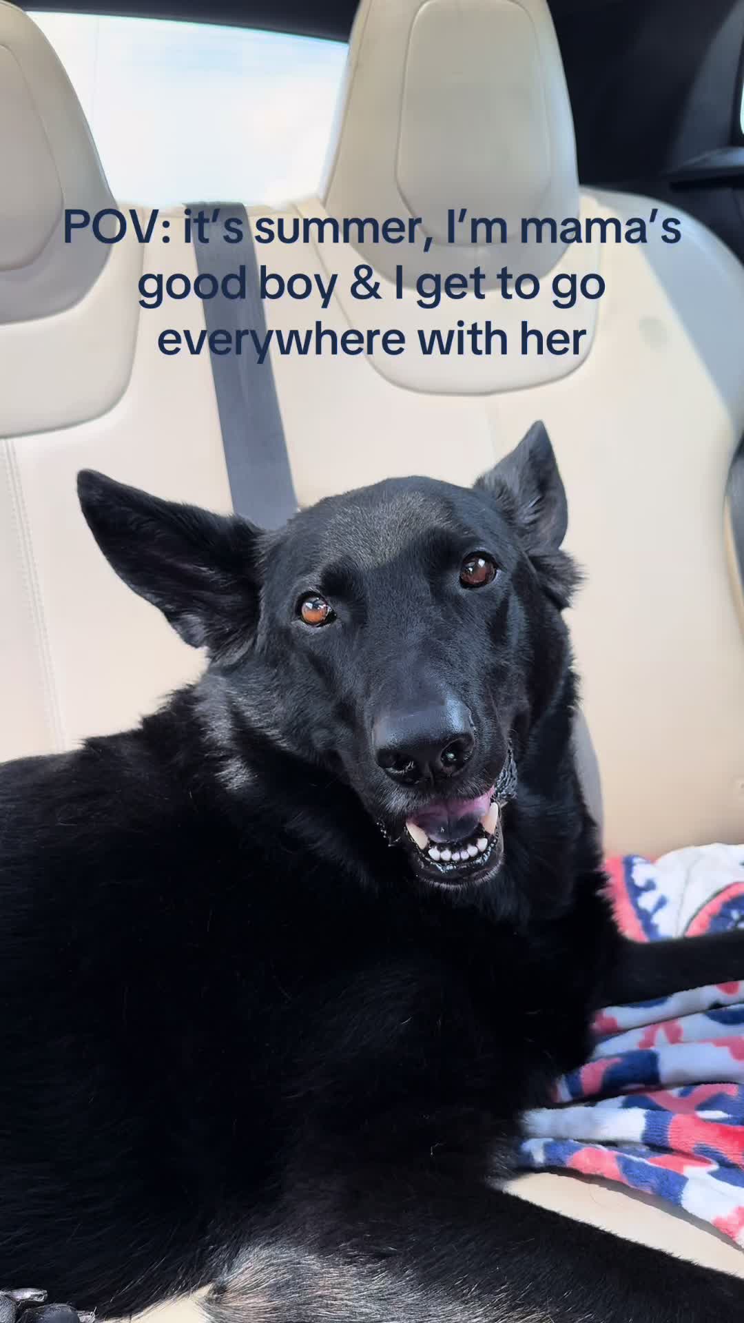@TheWildJax