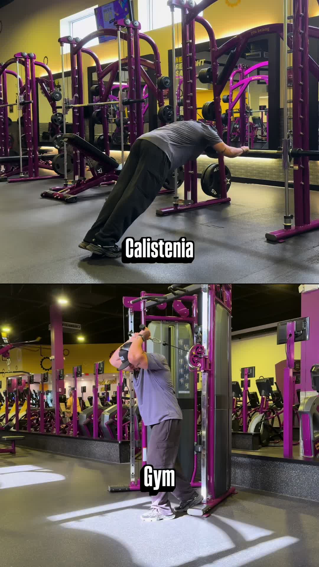@Raul_ibrfit