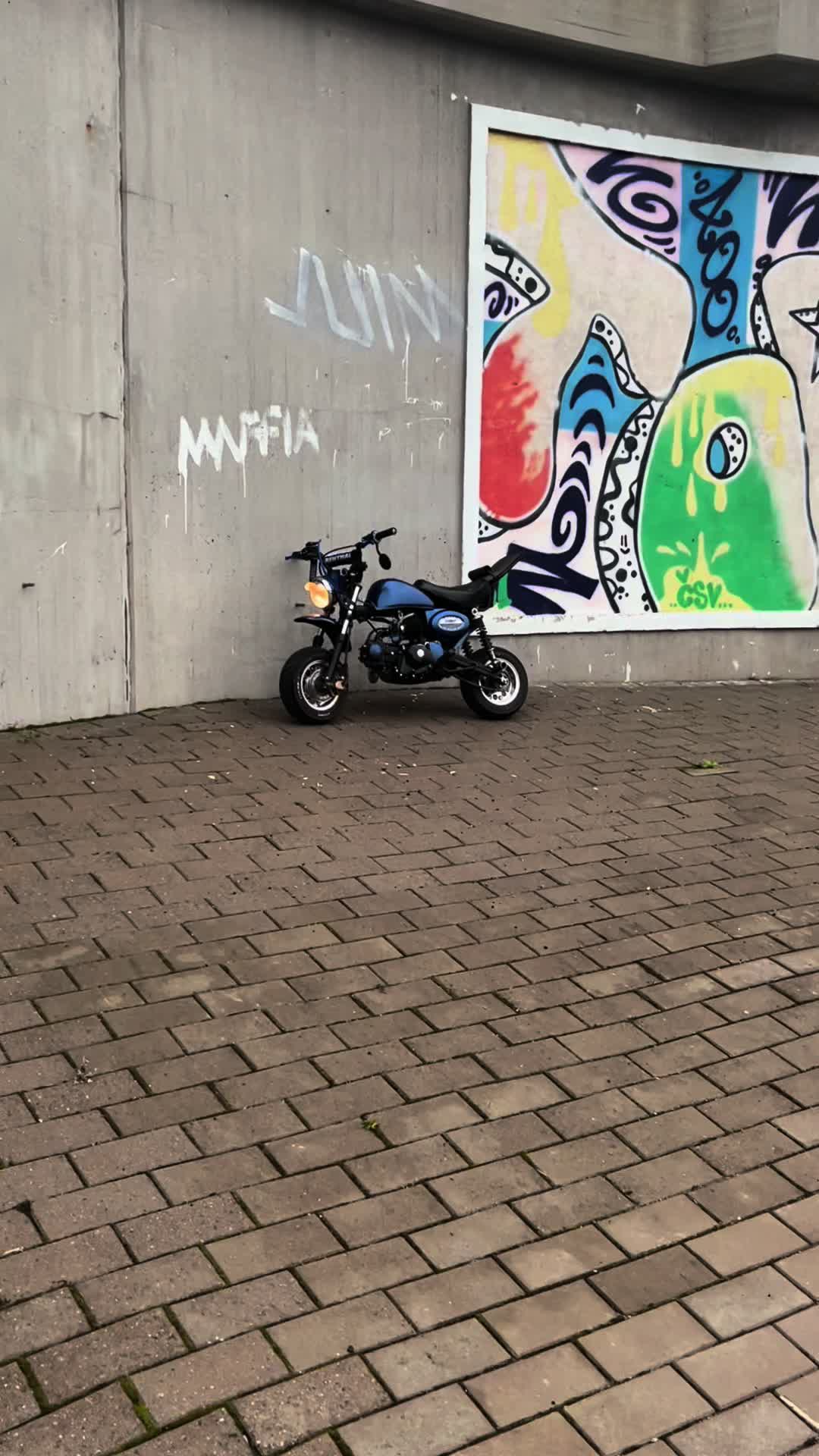 @🄻🄴🄺🅂🄰😾💙