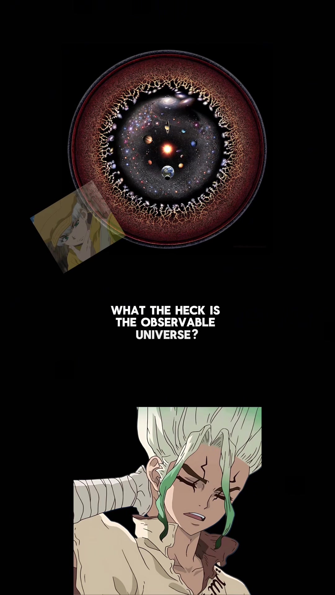 @Senku