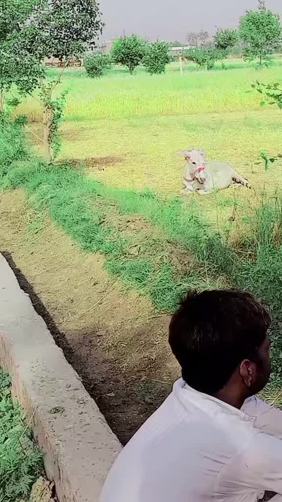 @Raja Sagar
