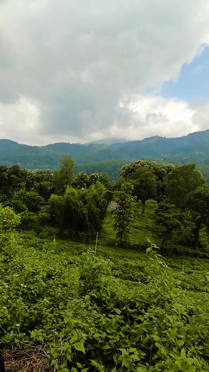 @roji dahal